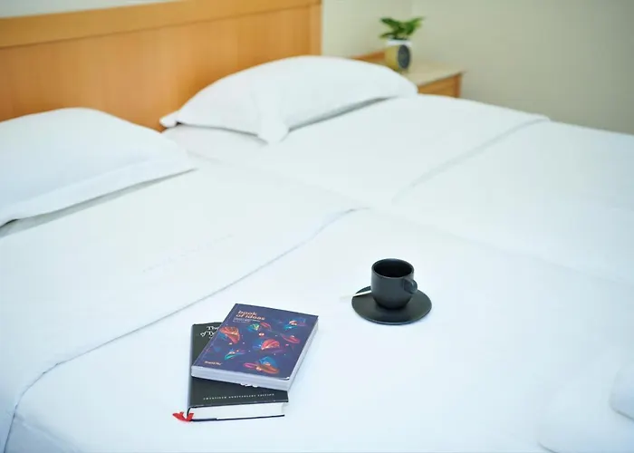 Telioni Hotel